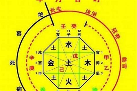 天罗地网 神煞|什么是八字中的天罗地网？